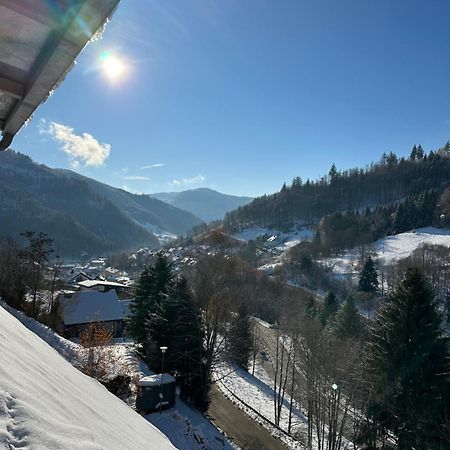 Bollenlodge - Ferienwohnung Mit Ausblick Und Top Lage Тодтнау Экстерьер фото