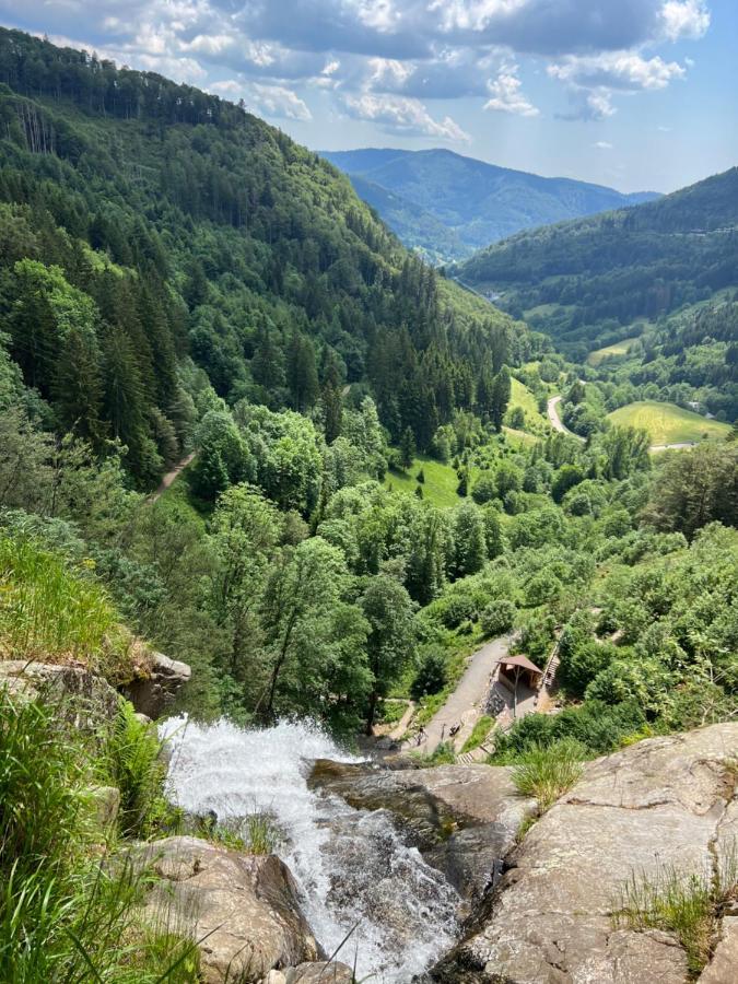 Bollenlodge - Ferienwohnung Mit Ausblick Und Top Lage Тодтнау Экстерьер фото