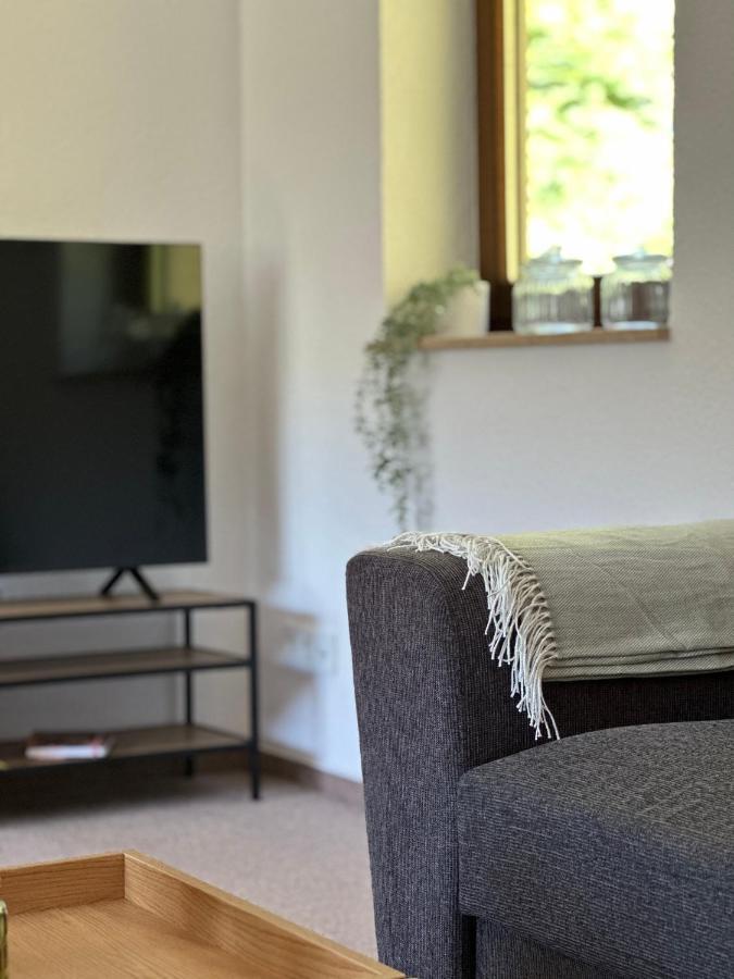 Bollenlodge - Ferienwohnung Mit Ausblick Und Top Lage Тодтнау Экстерьер фото